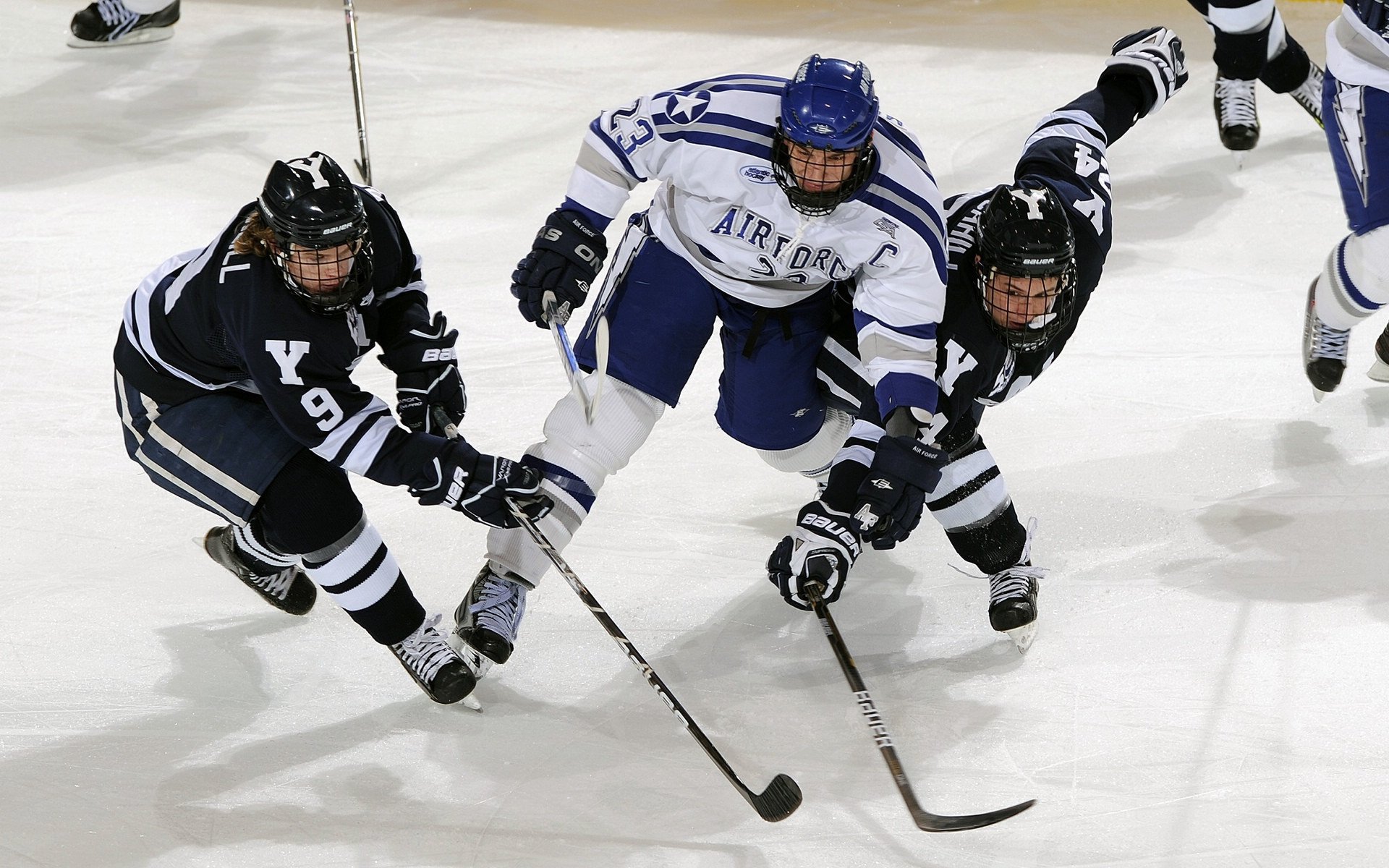 “华金·托比利亚的防守技艺与领导能力,成就美洲狮队的核心防线”