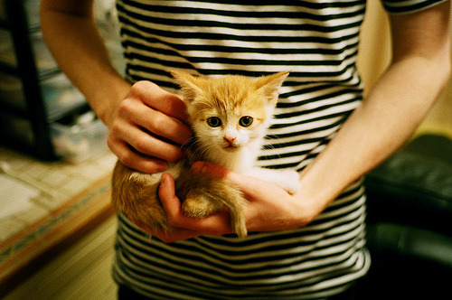 开云品牌-中国足球俱乐部在重点城市建设足球科普馆,中国足球基地有哪些